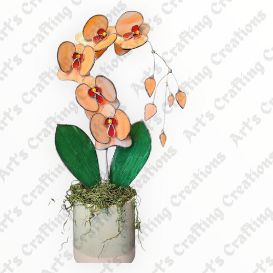 Stained Glass Orchid - Orange Cream