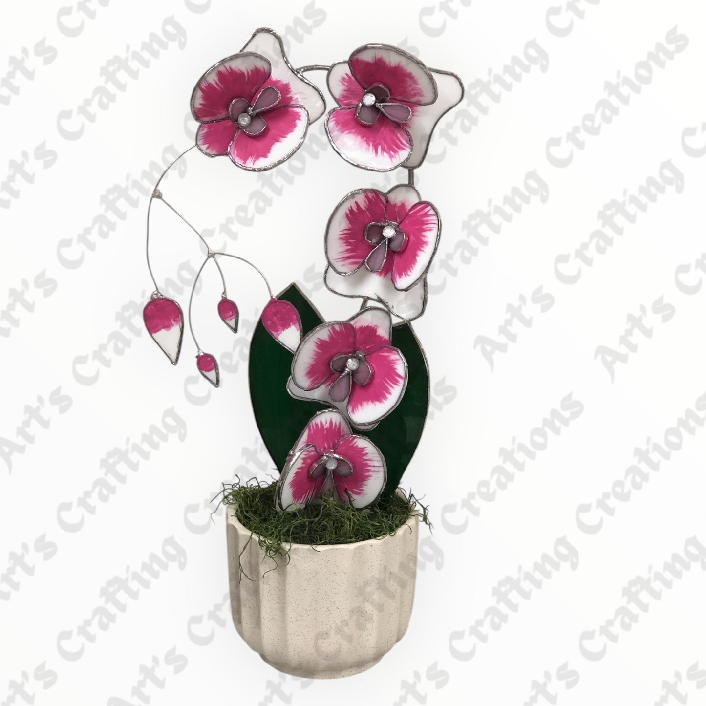 Stained Glass Orchid - Pink on White