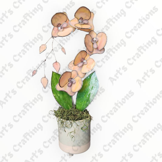 Stained Glass Orchid - Pink Cream