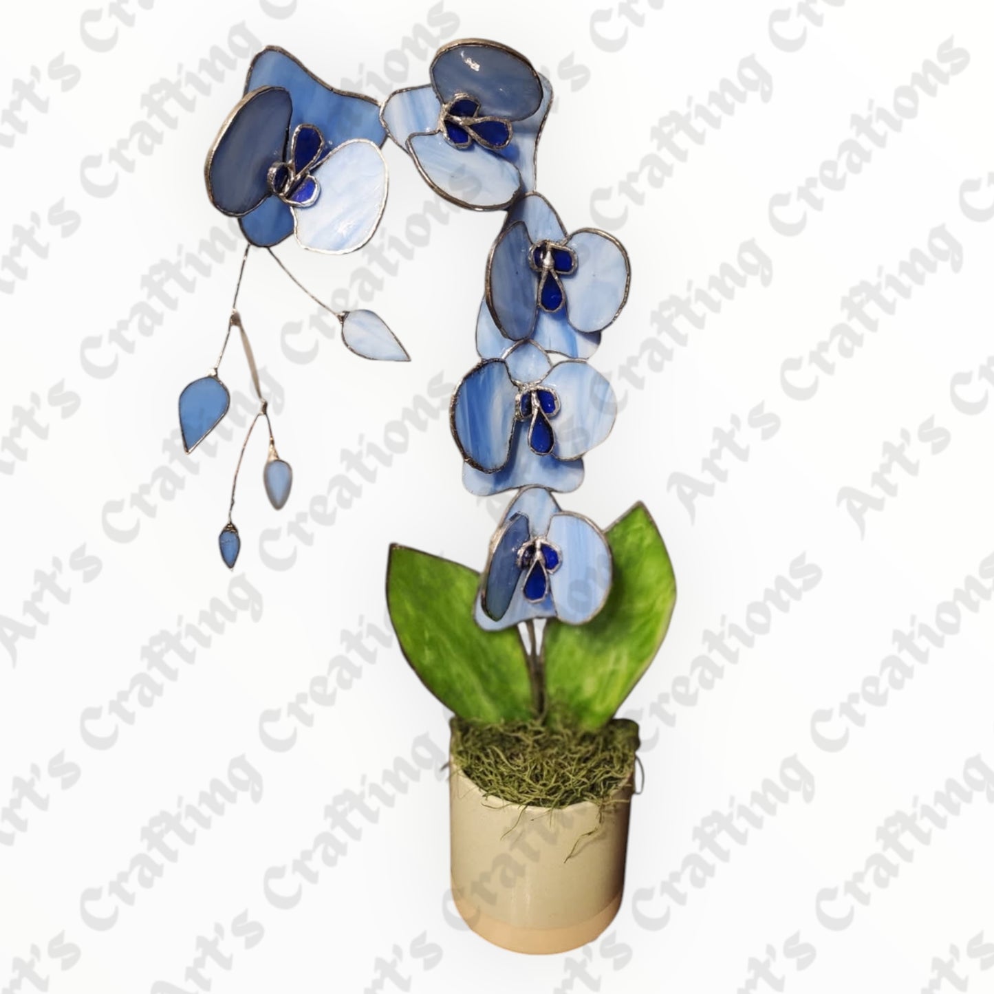 Stained Glass Orchid - Light Blue