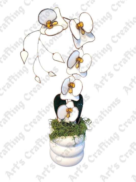 Stained Glass Orchid - White with Gold Center