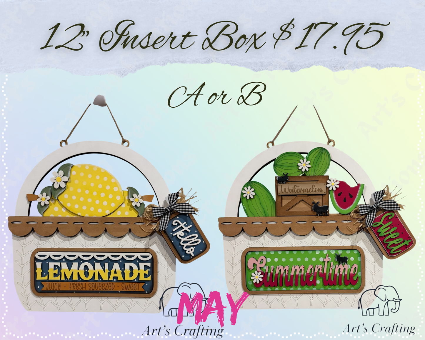 12" Interchangeable Insert Box